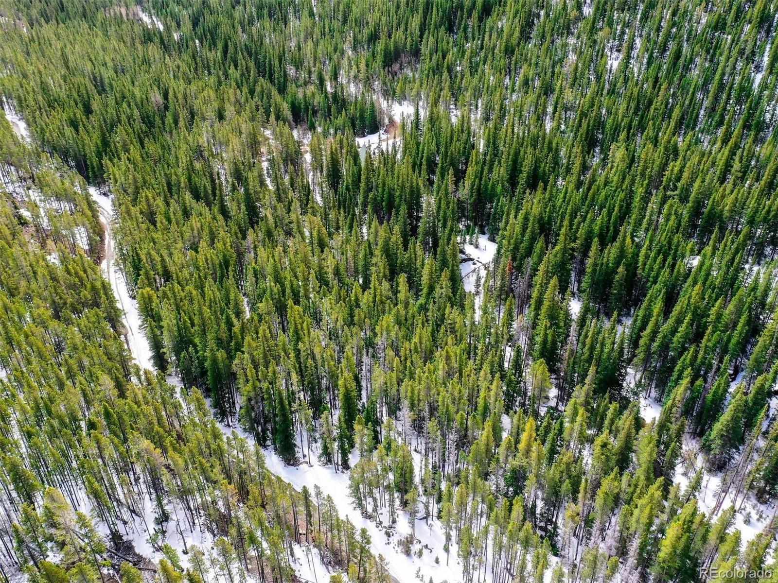 Rainbow Road Idaho Springs, CO 80452 - Photo 4 of 13 a view of a lush green plant