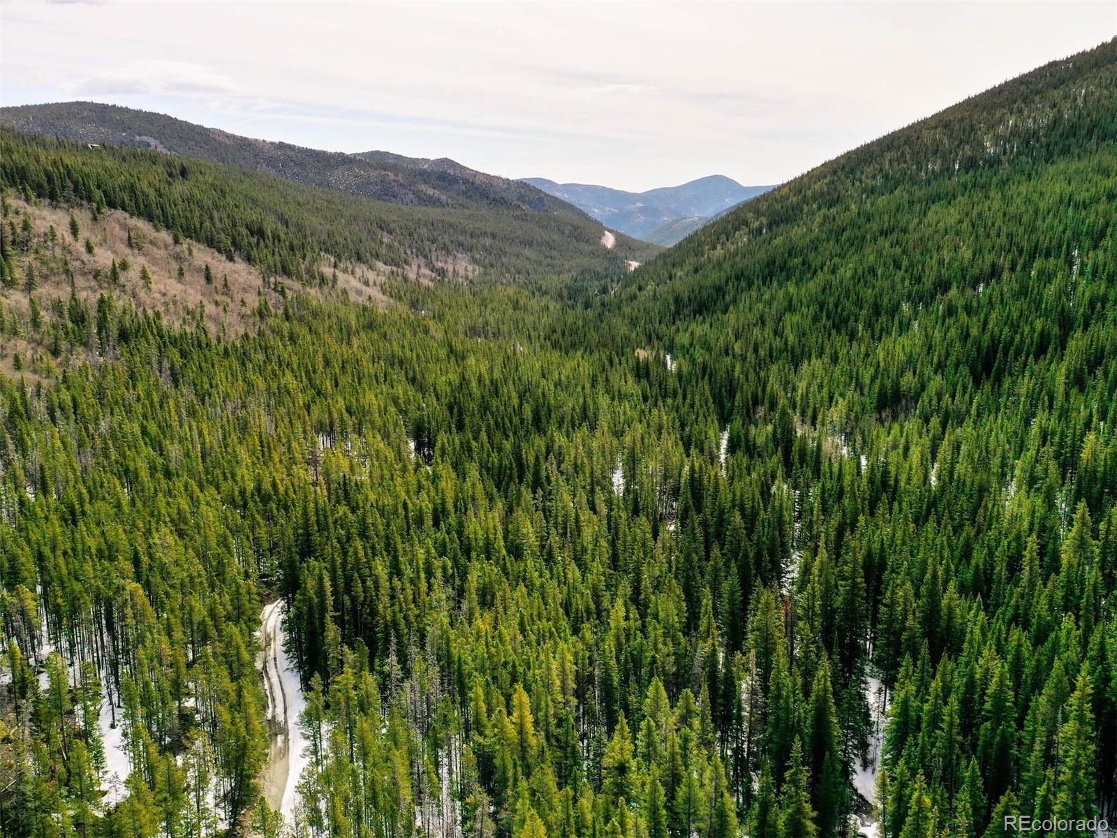 Rainbow Road Idaho Springs, CO 80452 - Photo 7 of 13 a view of a lush green hillside and a mountain