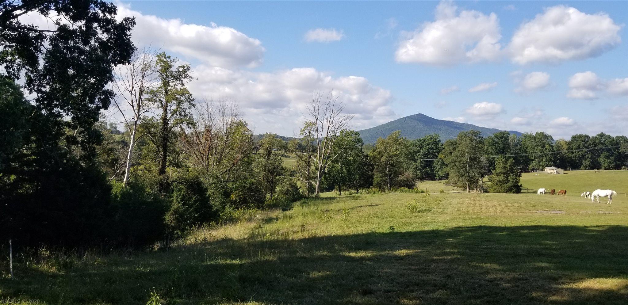Lot 40 Hurston Road Pulaski, VA 24301 - Photo 25 of 29 Gallery Image 25