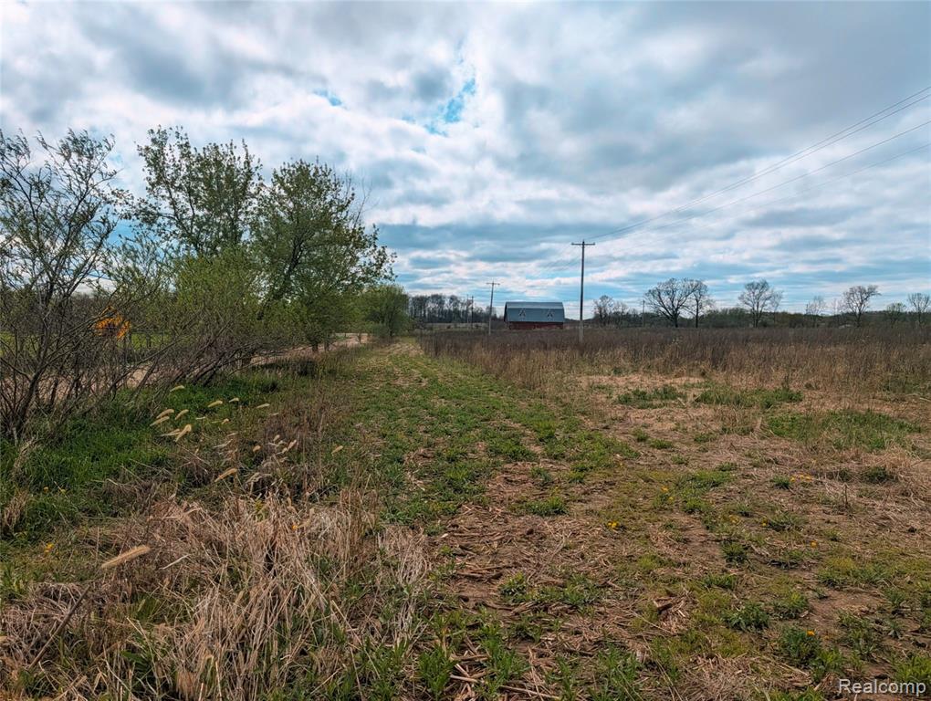 Parcel E Hogan Road Linden, MI 48451 - Photo 18 of 22