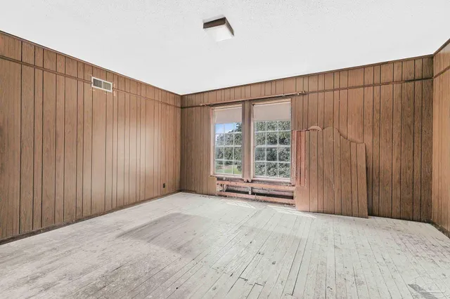 a view of a trees in a yard