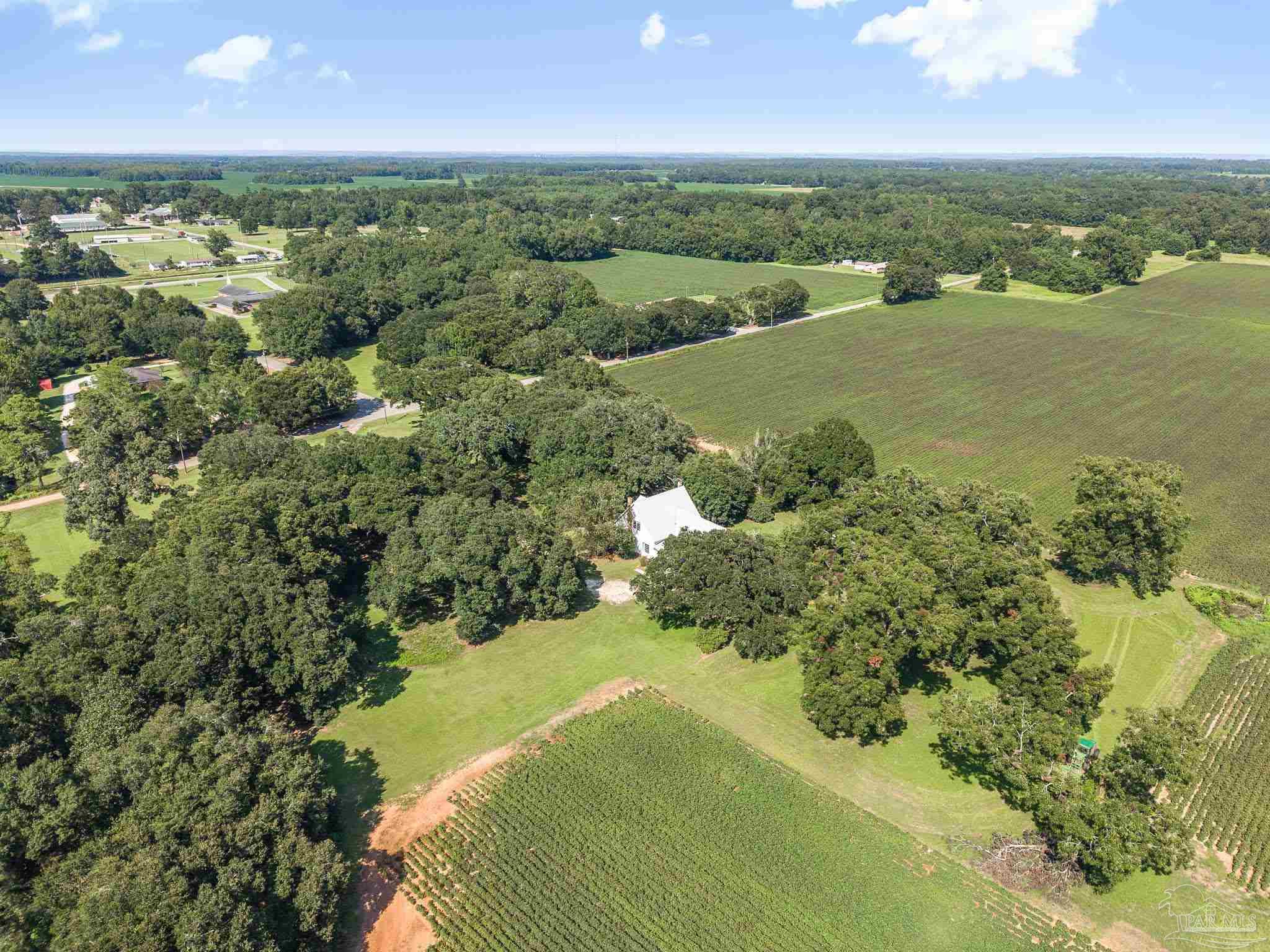 625 Arthur Hall Road Atmore, AL 36502 - Photo 58 of 65 Gallery Image 58