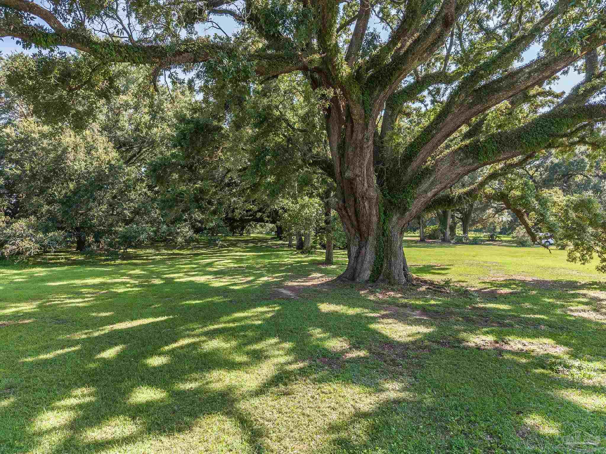 625 Arthur Hall Road Atmore, AL 36502 - Photo 59 of 65 Gallery Image 59