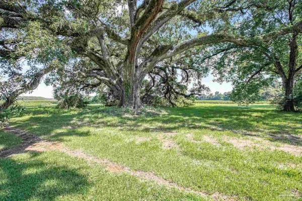 $375,000 | 625 Arthur Hall Road, Atmore, AL 36502