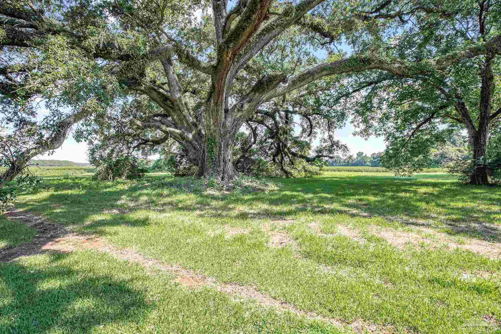 625 Arthur Hall Road Atmore, AL 36502 - Photo 64 of 65 Gallery Image 64