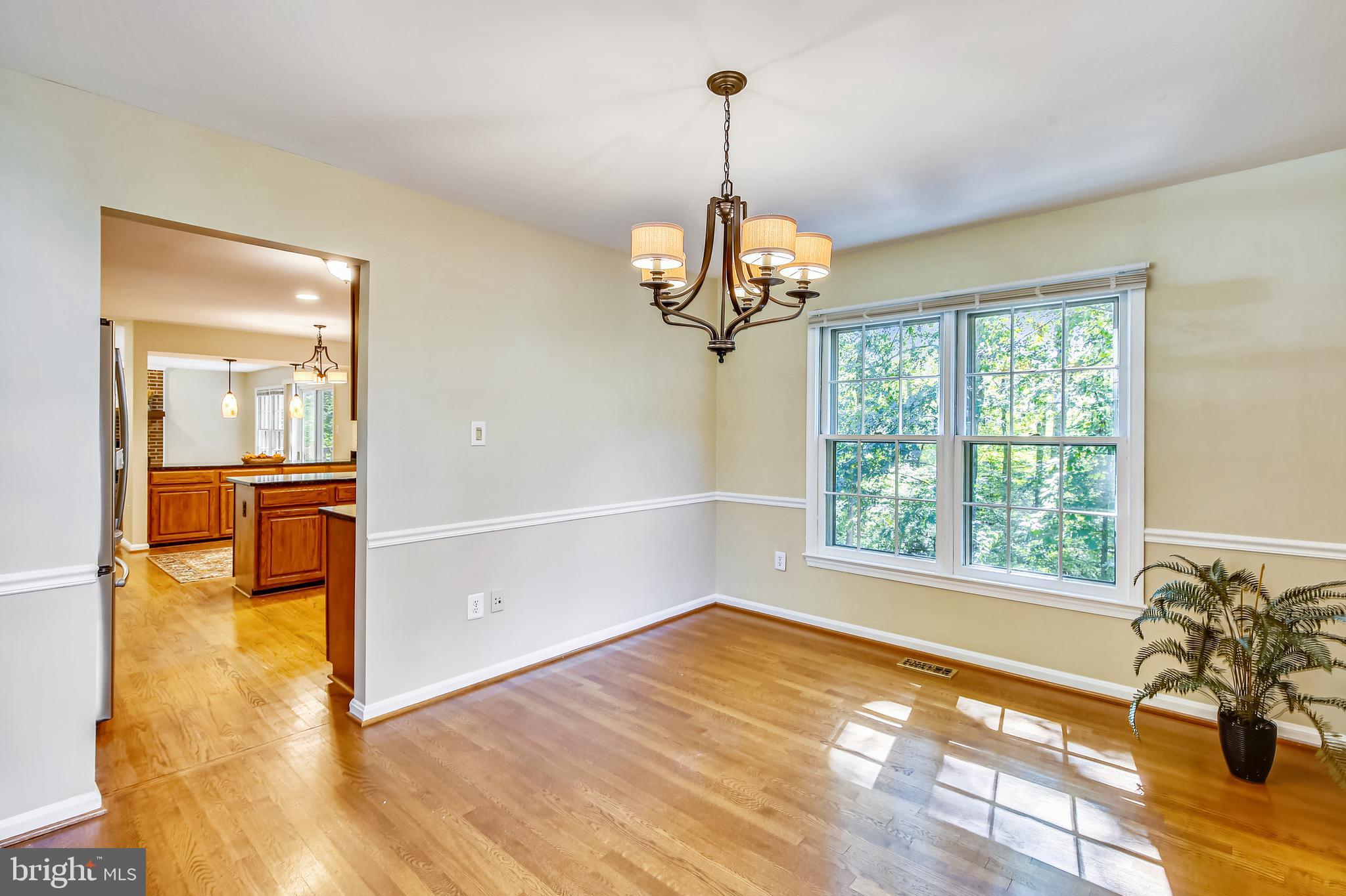 11955 Grey Squirrel Lane Reston, VA 20194 - Photo 10 of 61 If not a dining room maybe an office