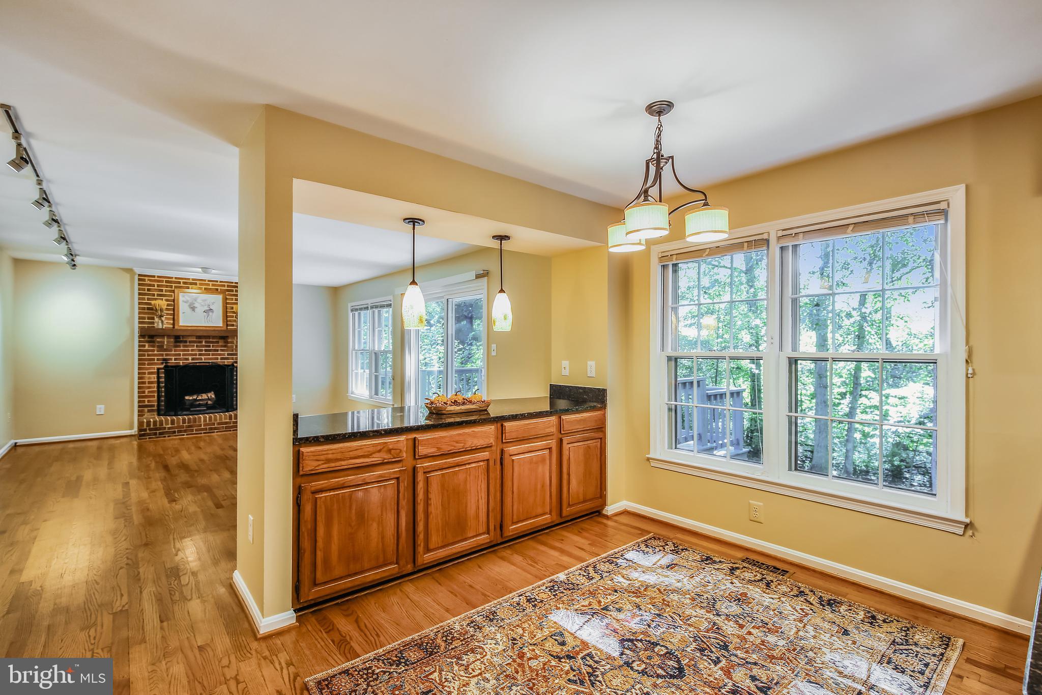 11955 Grey Squirrel Lane Reston, VA 20194 - Photo 16 of 61 Extra storage