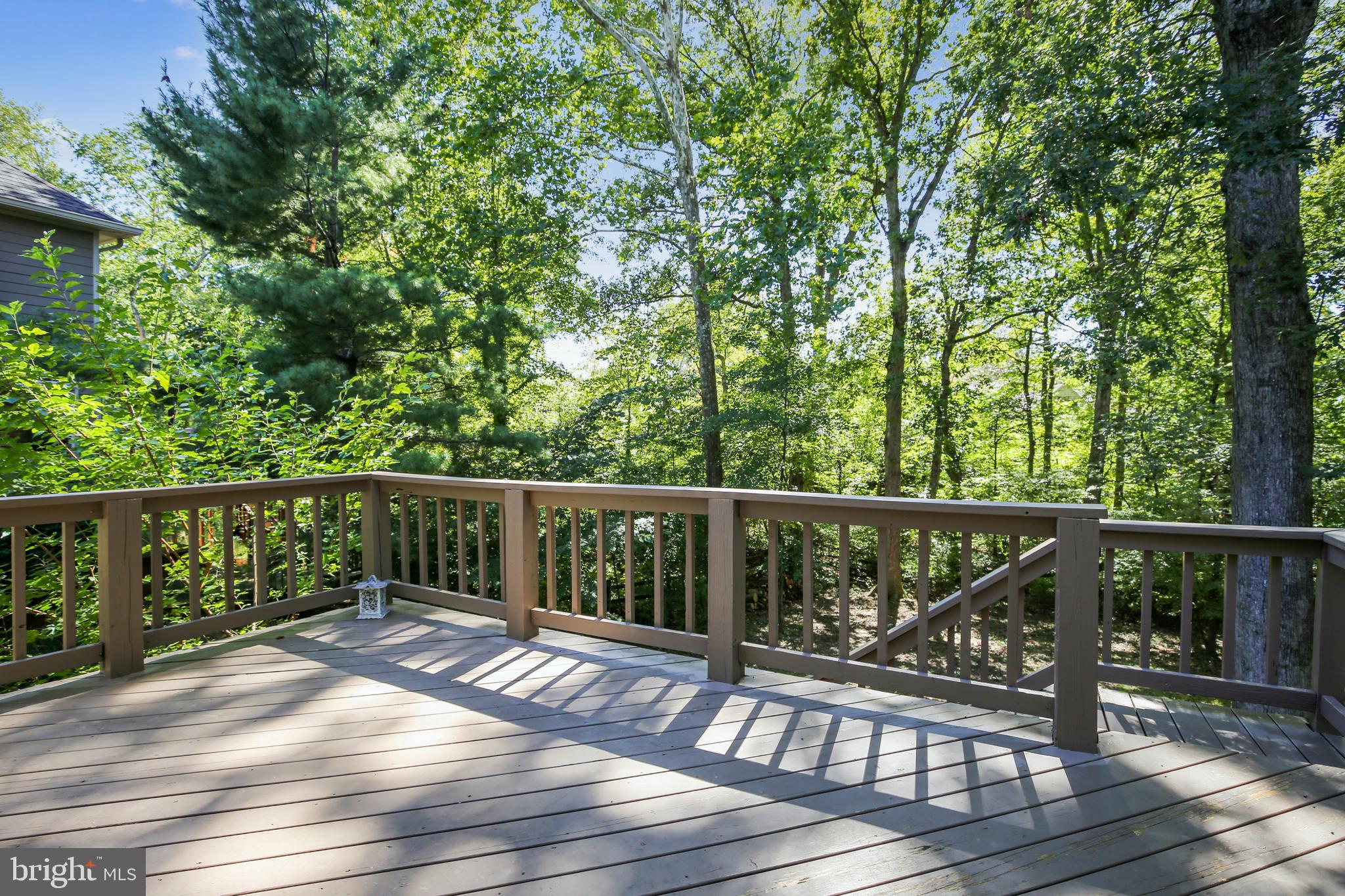 11955 Grey Squirrel Lane Reston, VA 20194 - Photo 19 of 61 Perfect for dinner on our wonderful fall nights