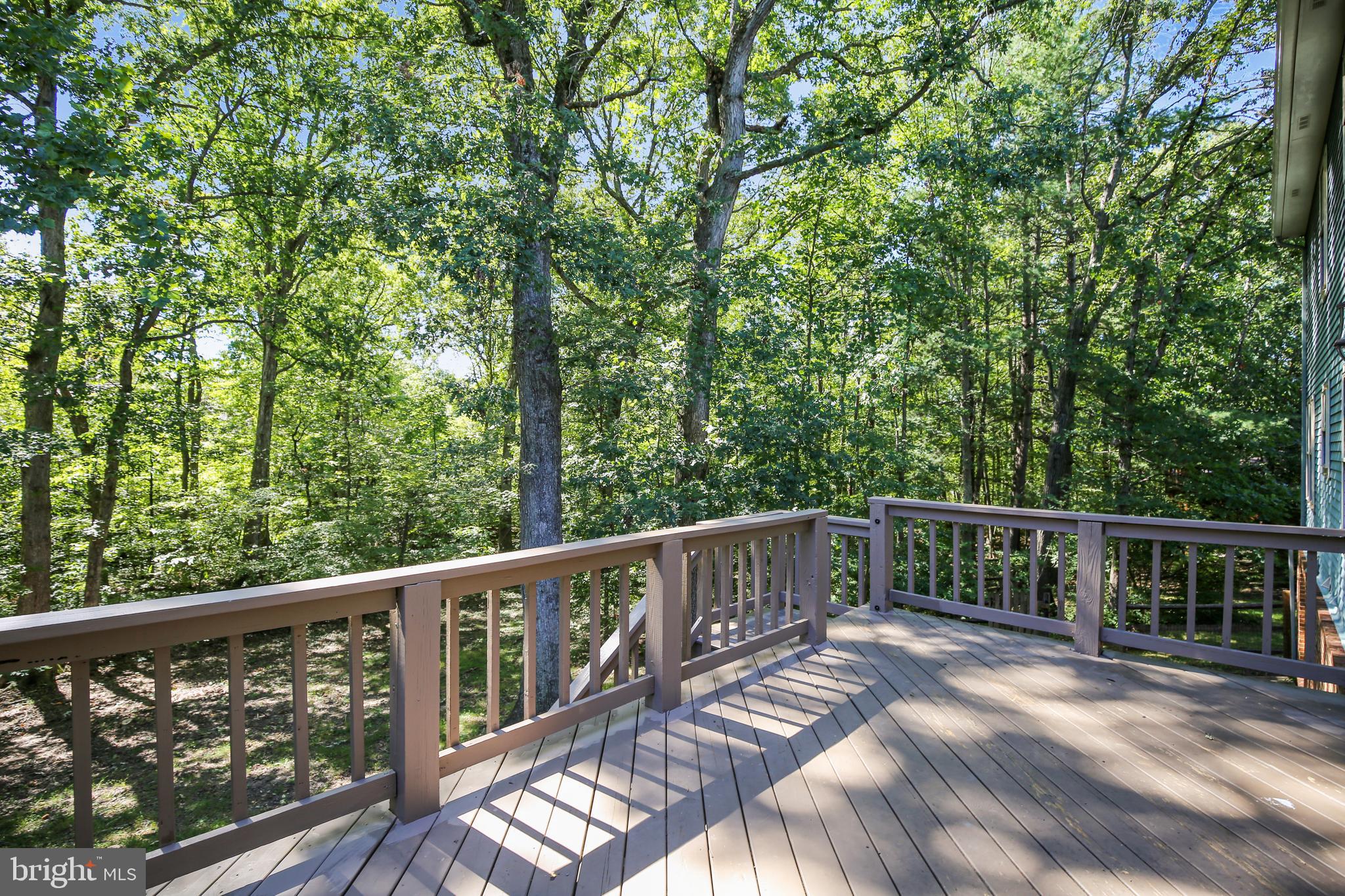 11955 Grey Squirrel Lane Reston, VA 20194 - Photo 20 of 61 Stairs great for pets etc