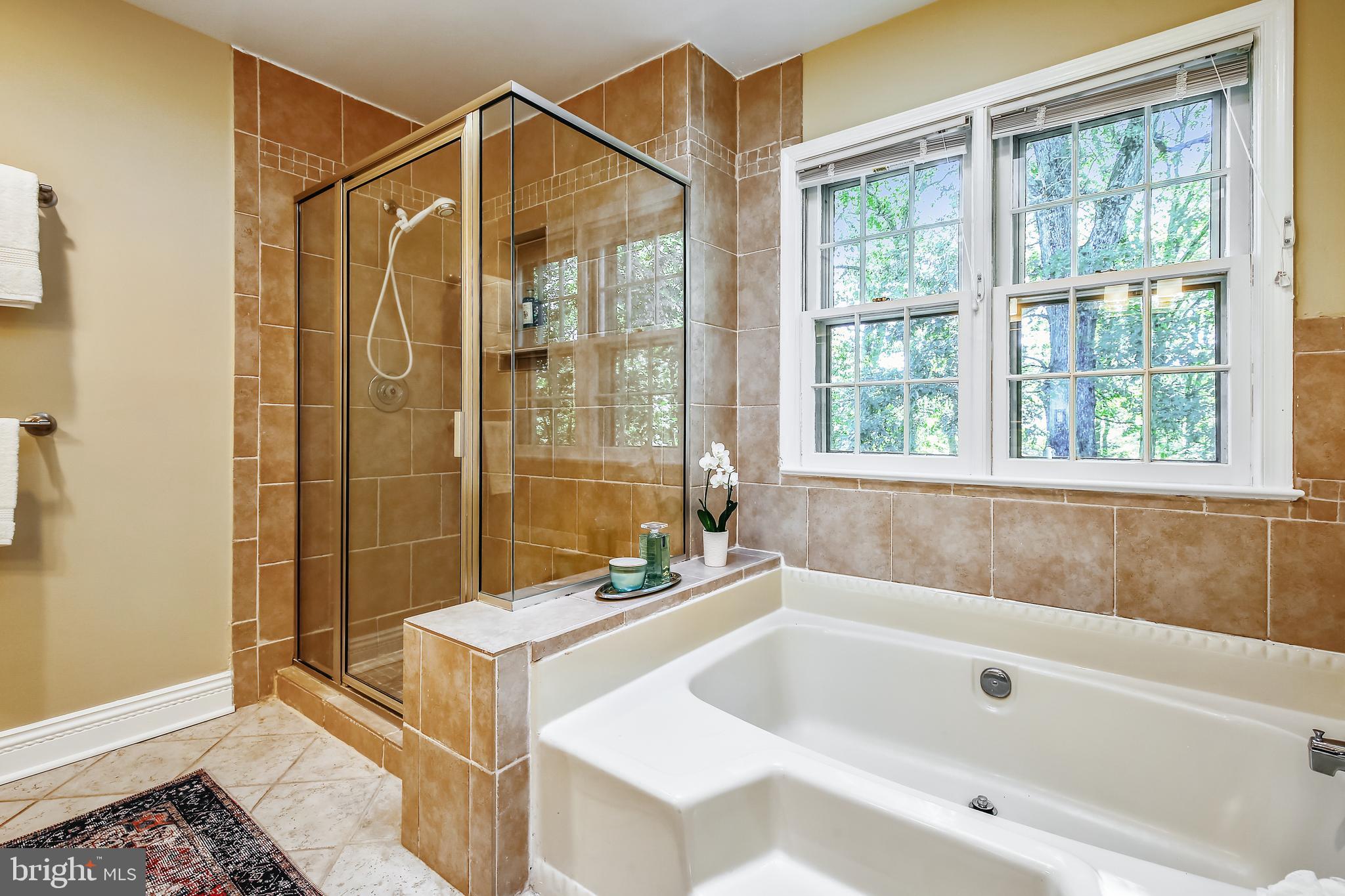 11955 Grey Squirrel Lane Reston, VA 20194 - Photo 26 of 61 Soaking tub with tall shower