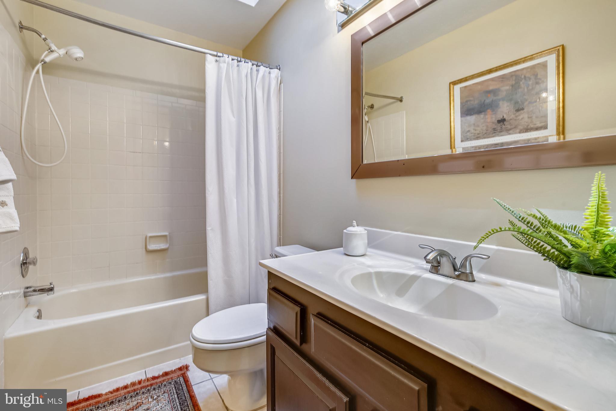 11955 Grey Squirrel Lane Reston, VA 20194 - Photo 27 of 61 Hall bath with skylight