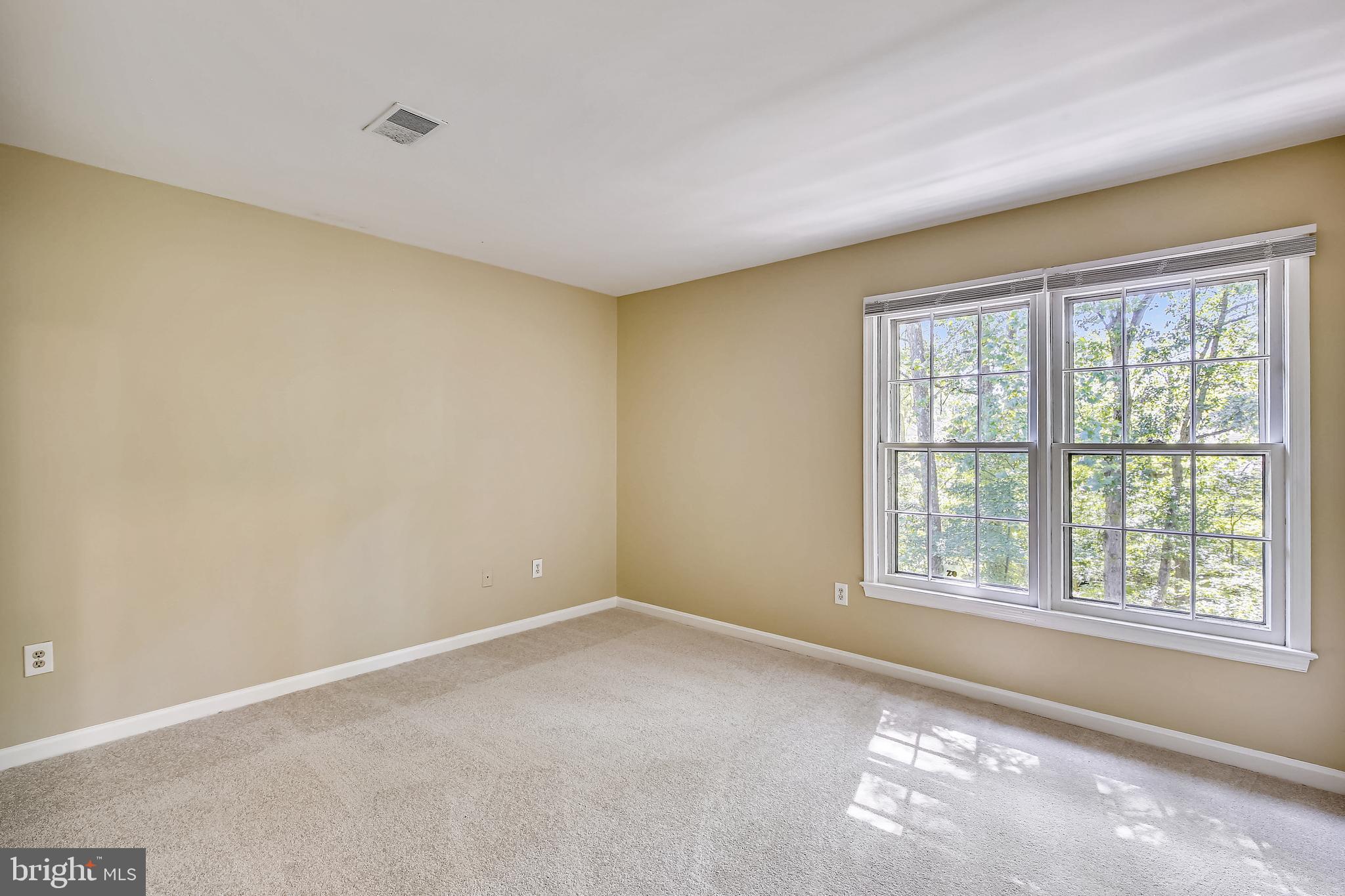 11955 Grey Squirrel Lane Reston, VA 20194 - Photo 29 of 61 Overlooking rear yard