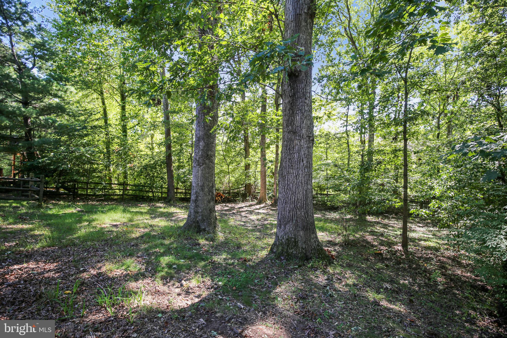 11955 Grey Squirrel Lane Reston, VA 20194 - Photo 41 of 61 Wooded fenced yard