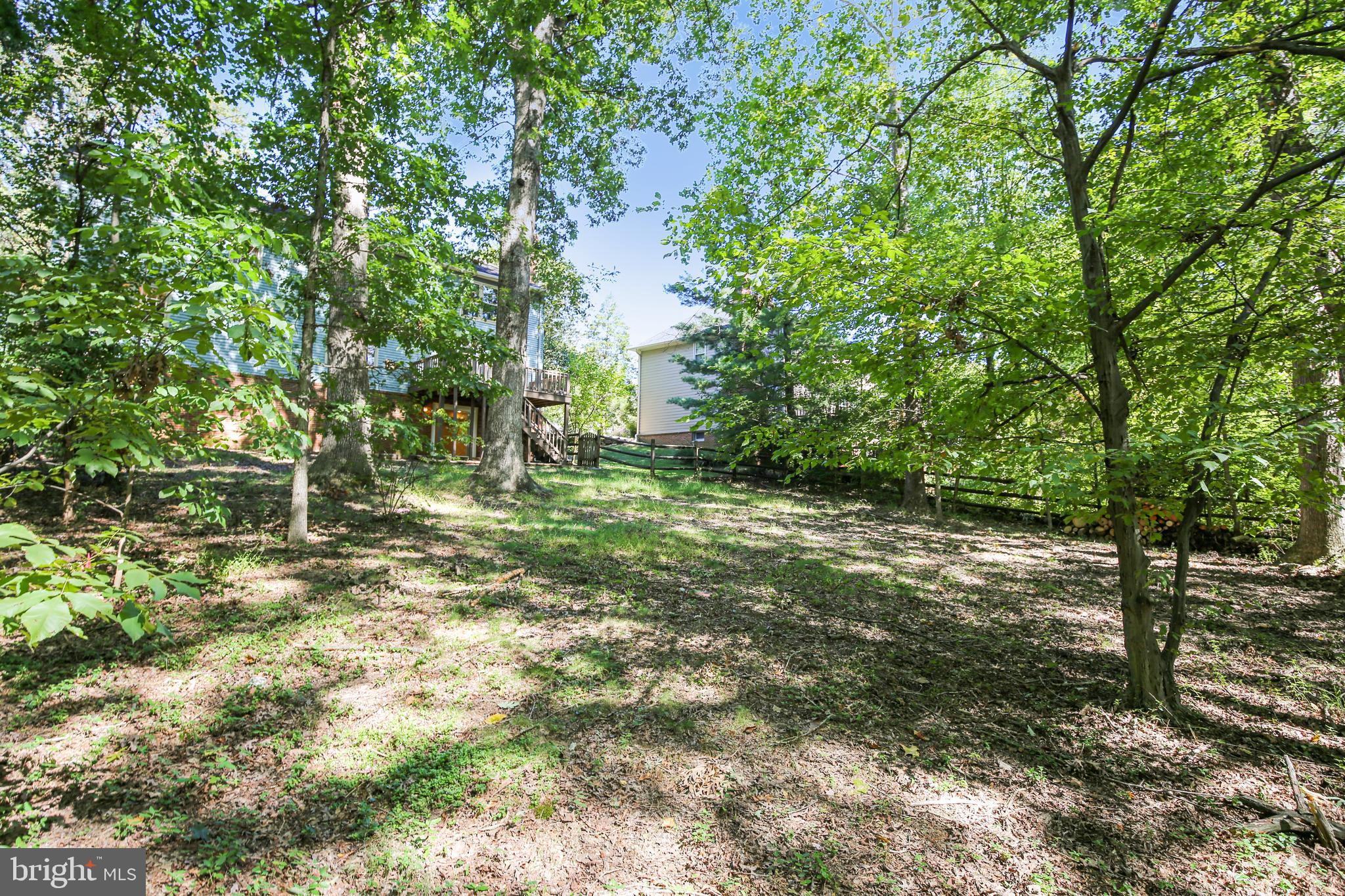 11955 Grey Squirrel Lane Reston, VA 20194 - Photo 42 of 61 Vew from the trees