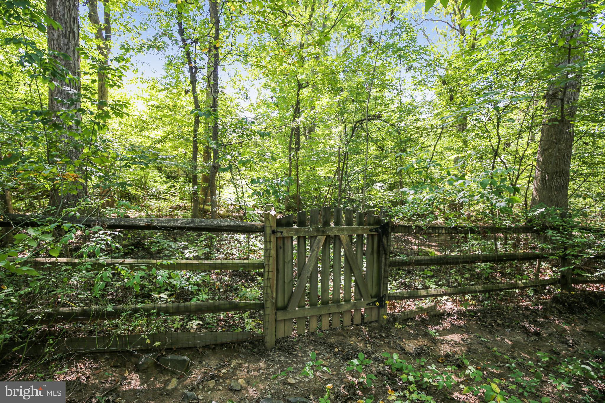 11955 Grey Squirrel Lane Reston, VA 20194 - Photo 43 of 61 Two gates into rear yard