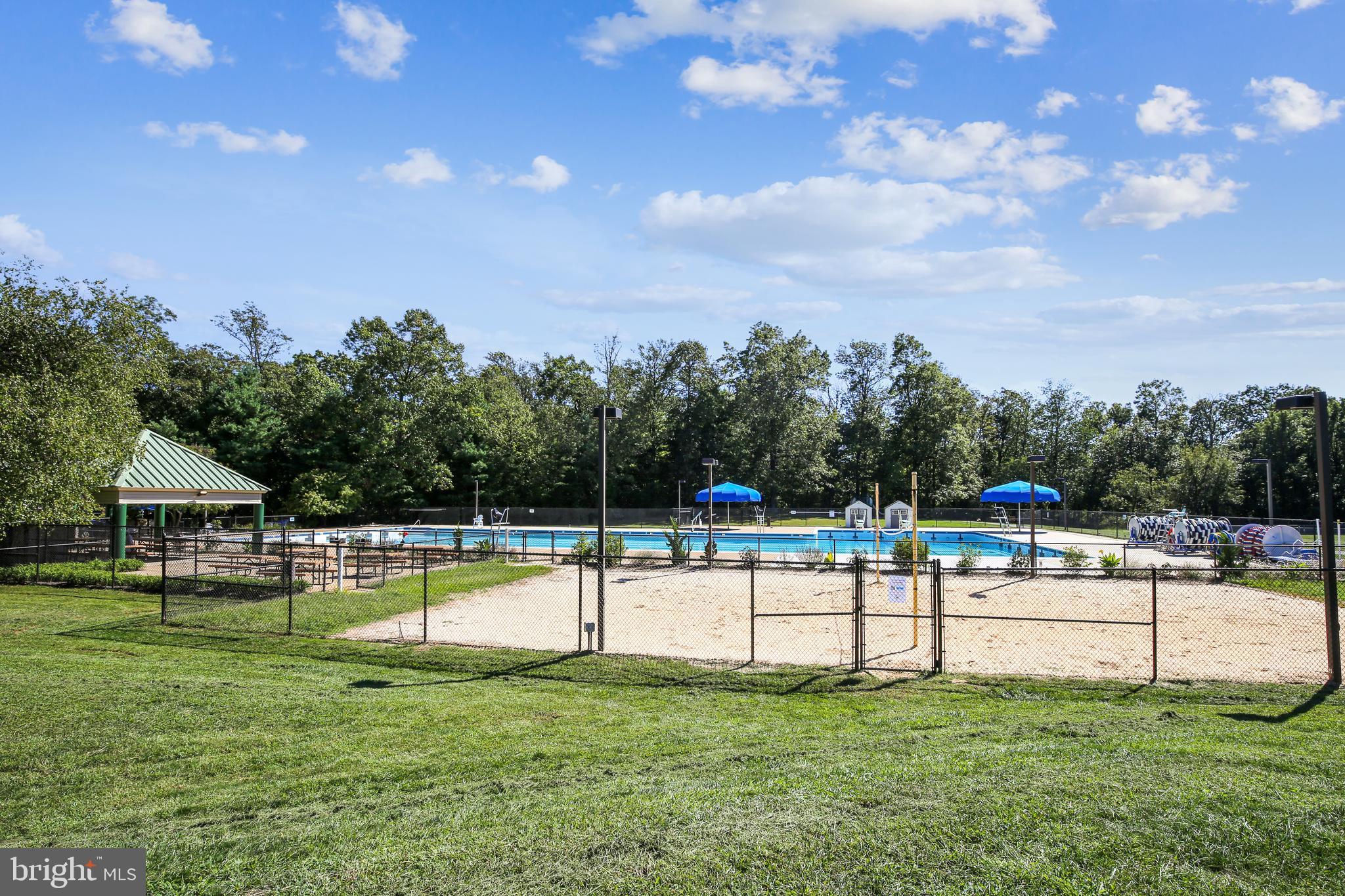 11955 Grey Squirrel Lane Reston, VA 20194 - Photo 47 of 61 Pools galore