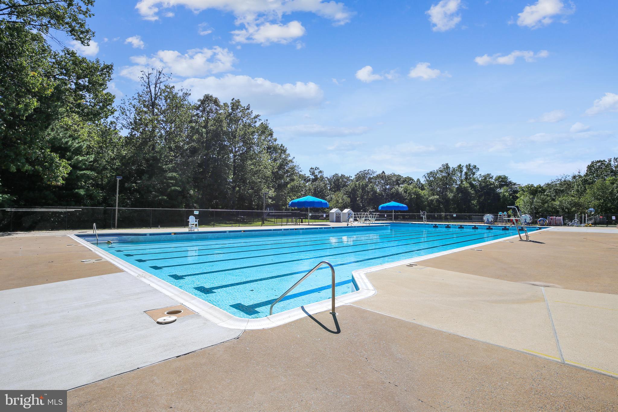 11955 Grey Squirrel Lane Reston, VA 20194 - Photo 50 of 61 Swimming