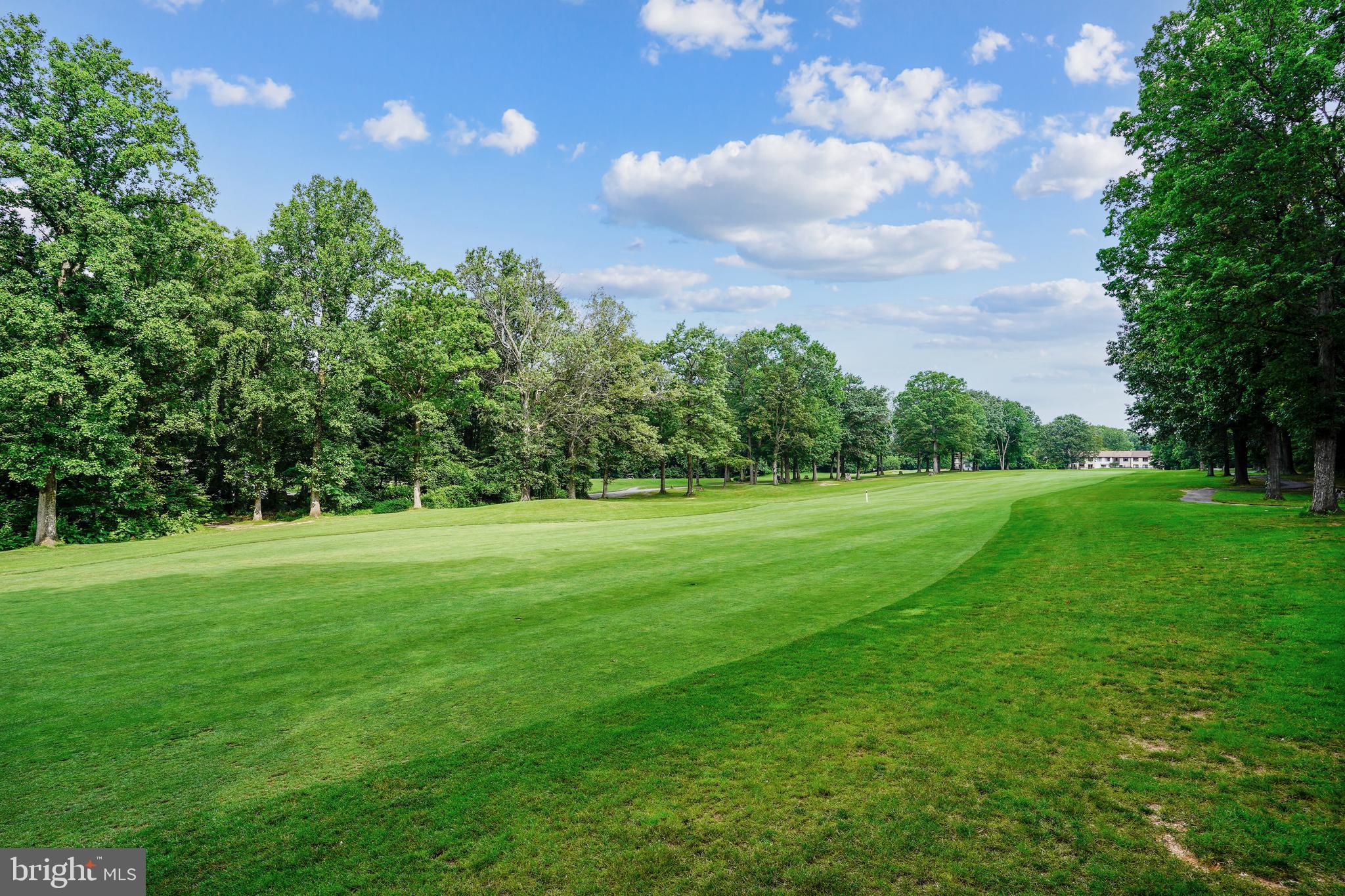 11955 Grey Squirrel Lane Reston, VA 20194 - Photo 54 of 61 Golf