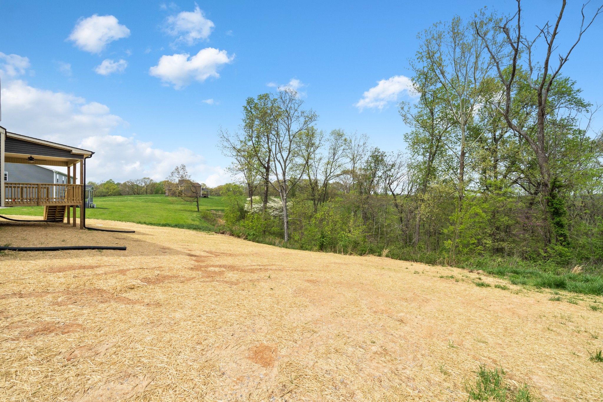 267 Alonzo Place Cunningham, TN 37052 - Photo 38 of 40 a view of a street
