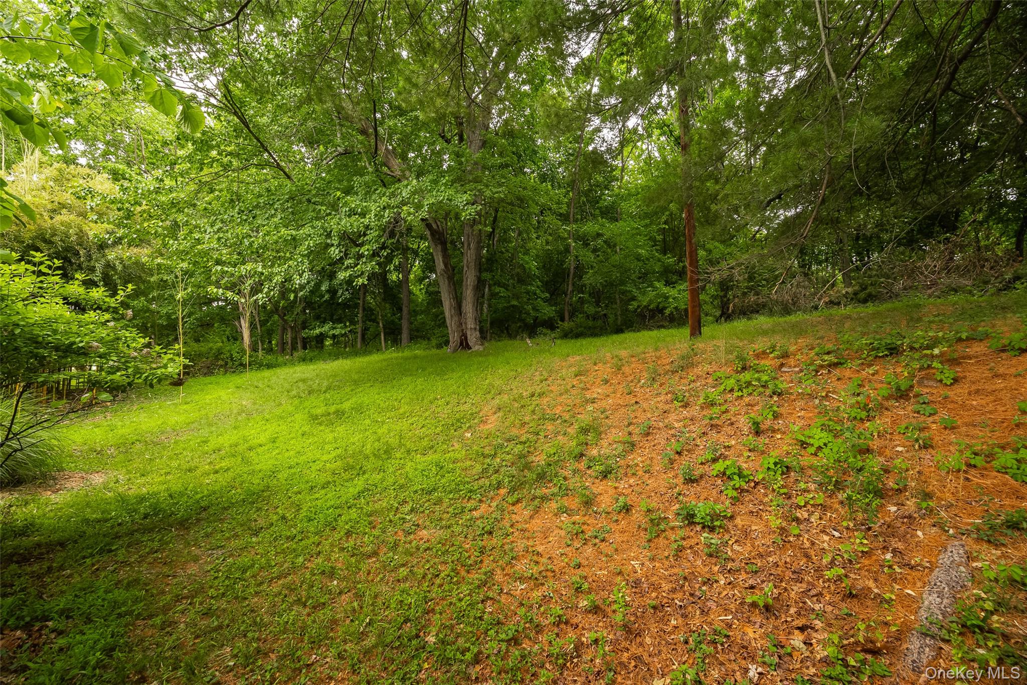 166 Vassar Road Poughkeepsie, NY 12603 - Photo 22 of 24
