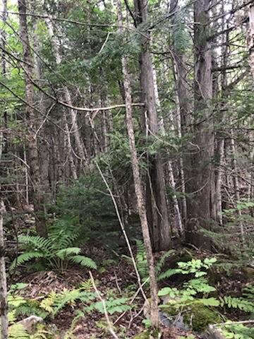 image_6483441 (5)