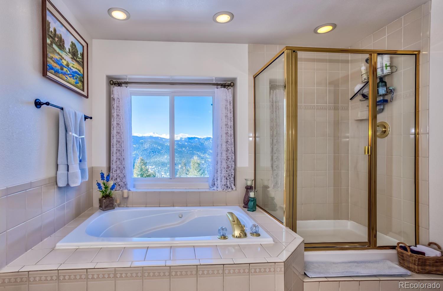 29323 Gray Hawk Drive Evergreen, CO 80439 - Photo 16 of 31 a bathroom with a bathtub and a shower