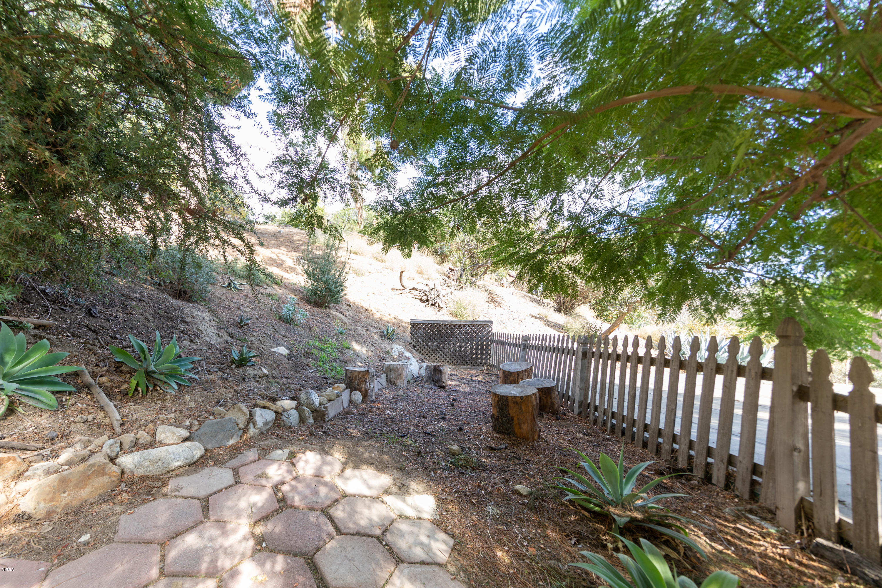 503 Quail Drive Los Angeles, CA 90065 - Photo 16 of 16 a view of a yard with plants and trees