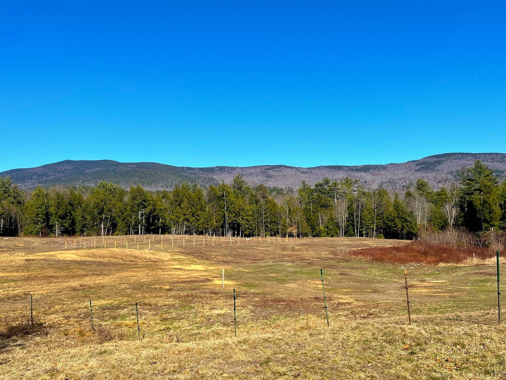 139 Turner Road Wentworth, NH 03282 - Photo 12 of 55