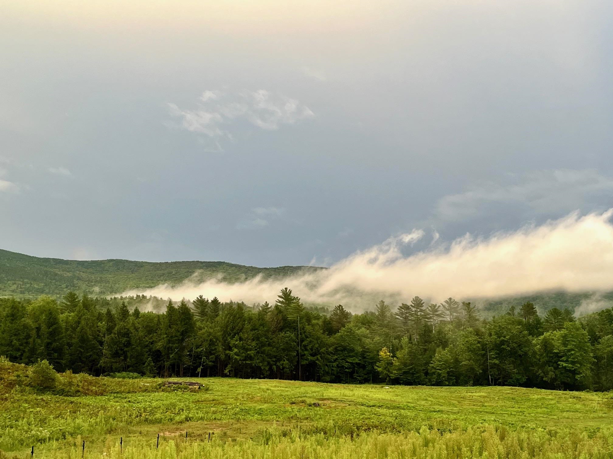 139 Turner Road Wentworth, NH 03282 - Photo 41 of 55