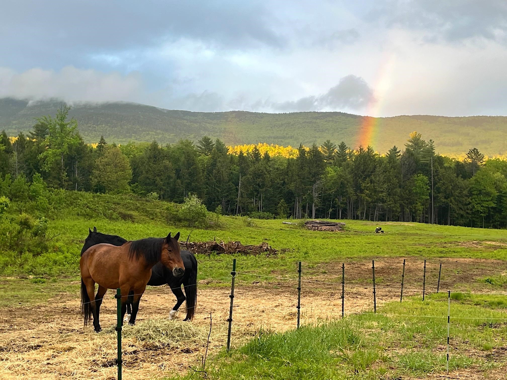 139 Turner Road Wentworth, NH 03282 - Photo 42 of 55