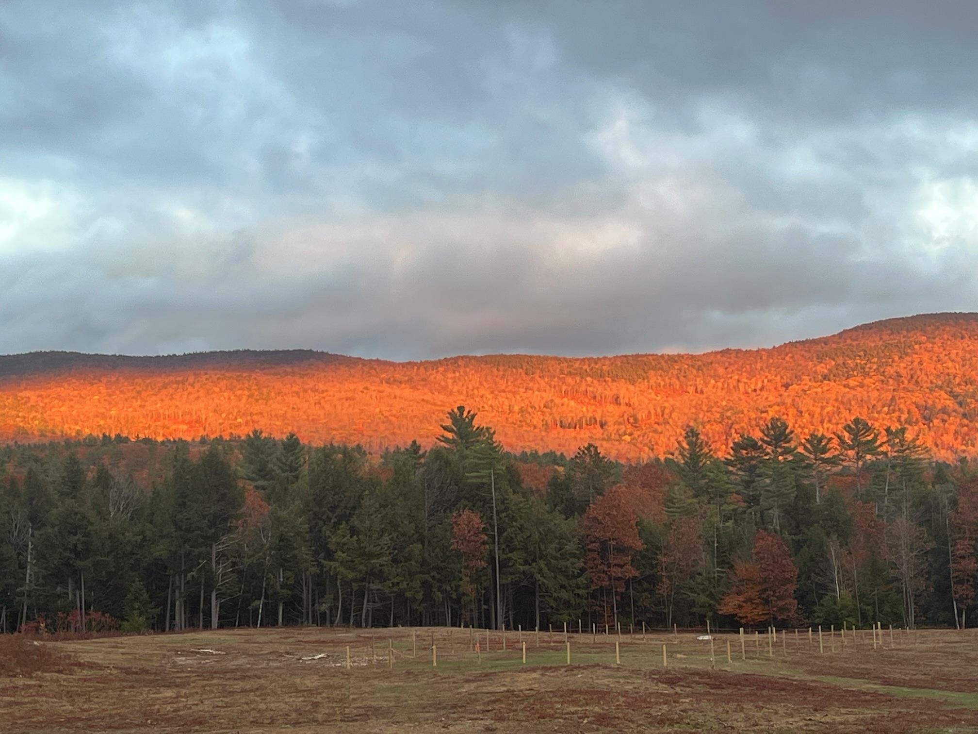 139 Turner Road Wentworth, NH 03282 - Photo 43 of 55