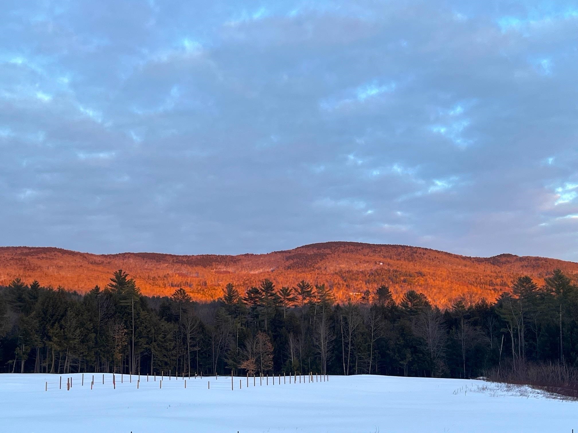139 Turner Road Wentworth, NH 03282 - Photo 46 of 55