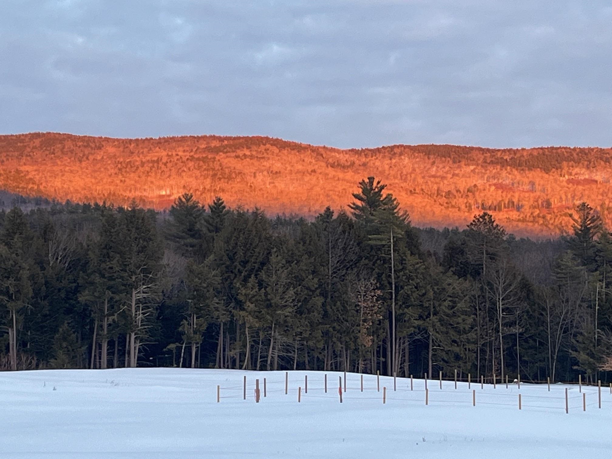 139 Turner Road Wentworth, NH 03282 - Photo 48 of 55