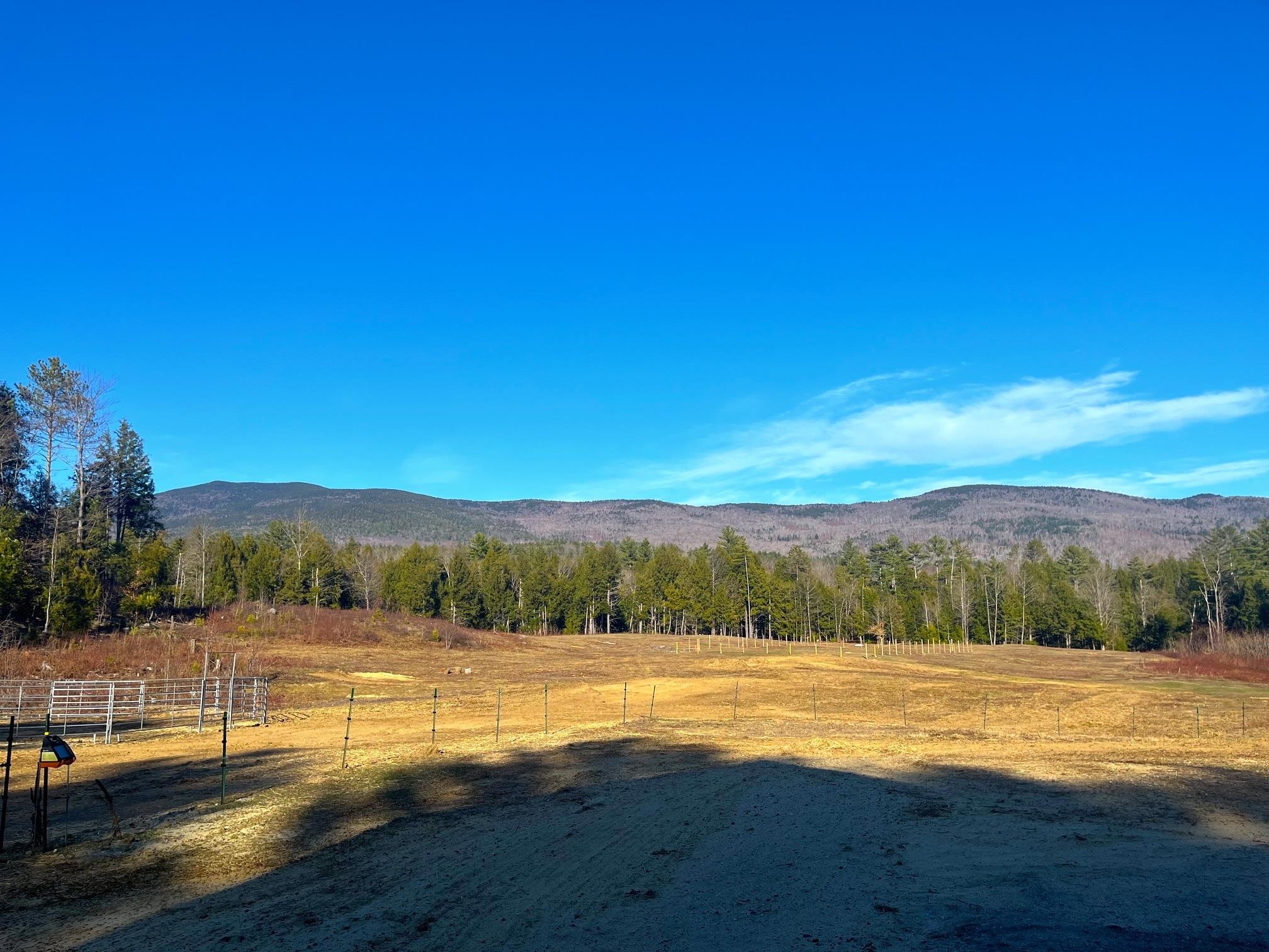 139 Turner Road Wentworth, NH 03282 - Photo 10 of 55