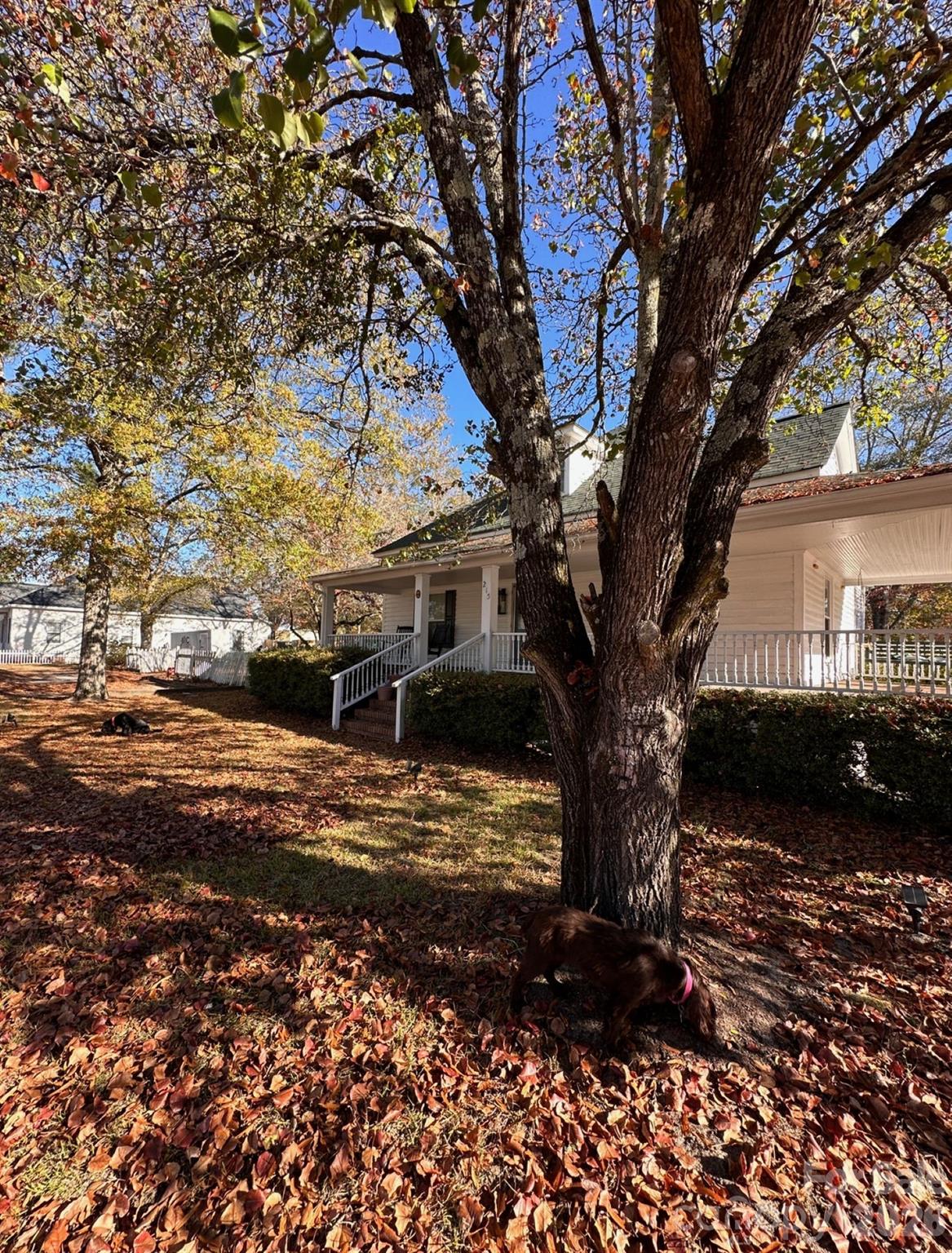 215 South Matson Street Kershaw, SC 29067 - Photo 4 of 18