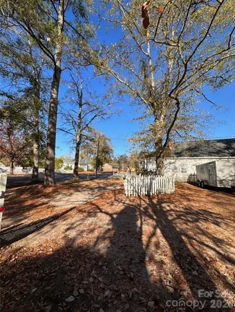 a view of a yard with large trees