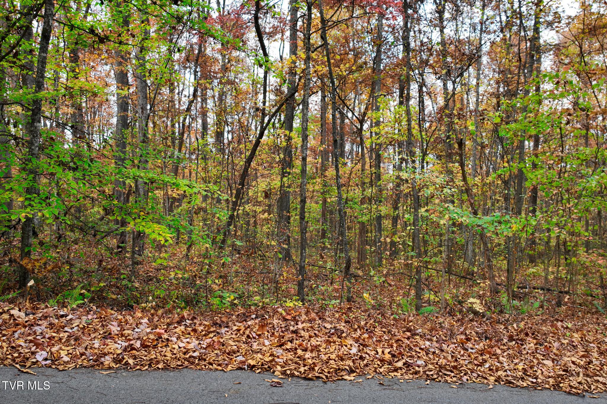 Lot #6 Walker Road, Unit 6 Sharps Chapel, TN 37866 - Photo 4 of 12 Walker Rd 735