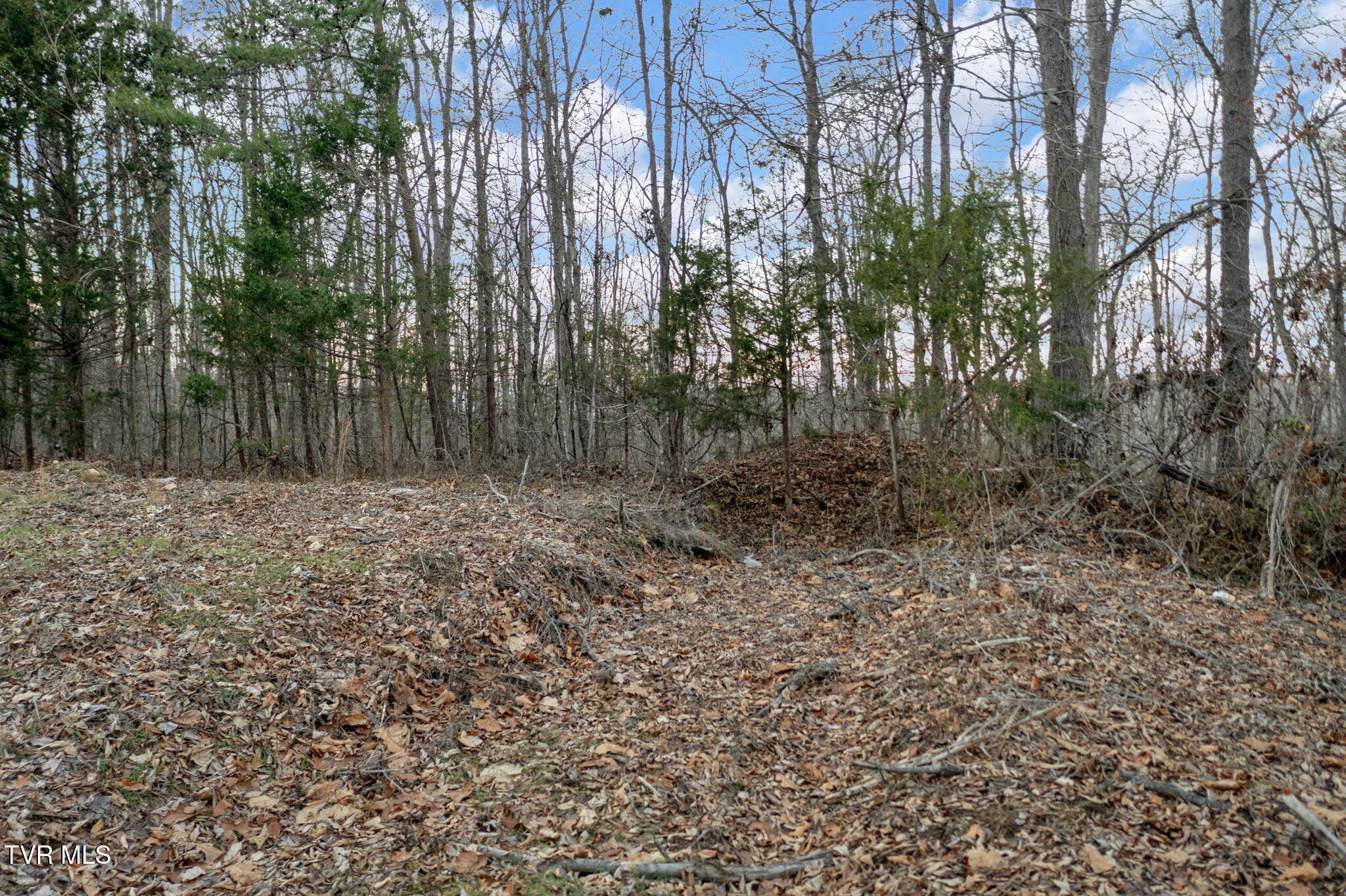 Lot #6 Walker Road, Unit 6 Sharps Chapel, TN 37866 - Photo 7 of 12 10-web-or-mls-DJI_0535