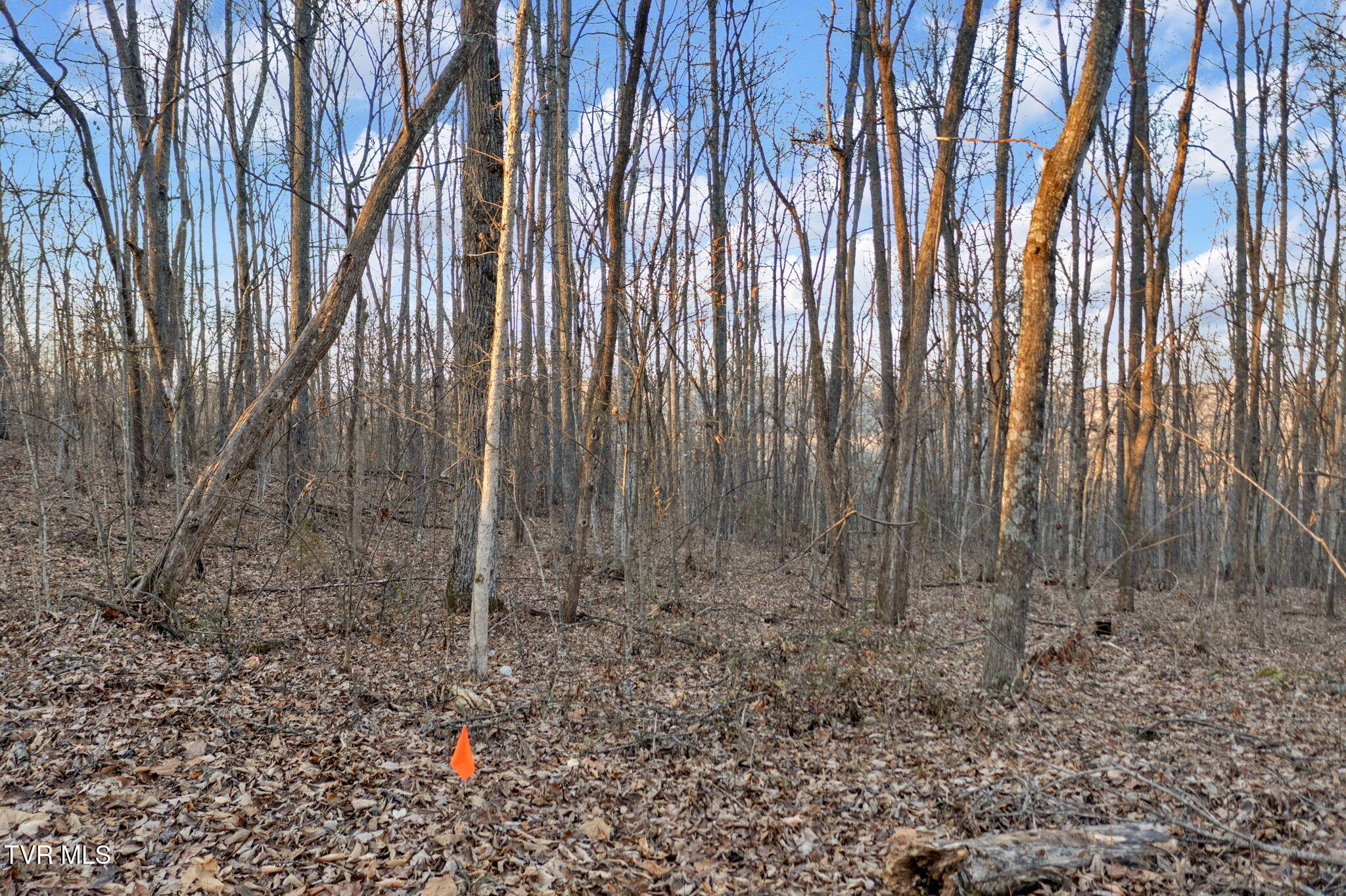 Lot #6 Walker Road, Unit 6 Sharps Chapel, TN 37866 - Photo 8 of 12 8-web-or-mls-DJI_0494