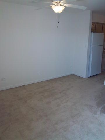 918 Ridge Square, Unit 307 Elk Grove Village, IL 60007 - Photo 5 of 7