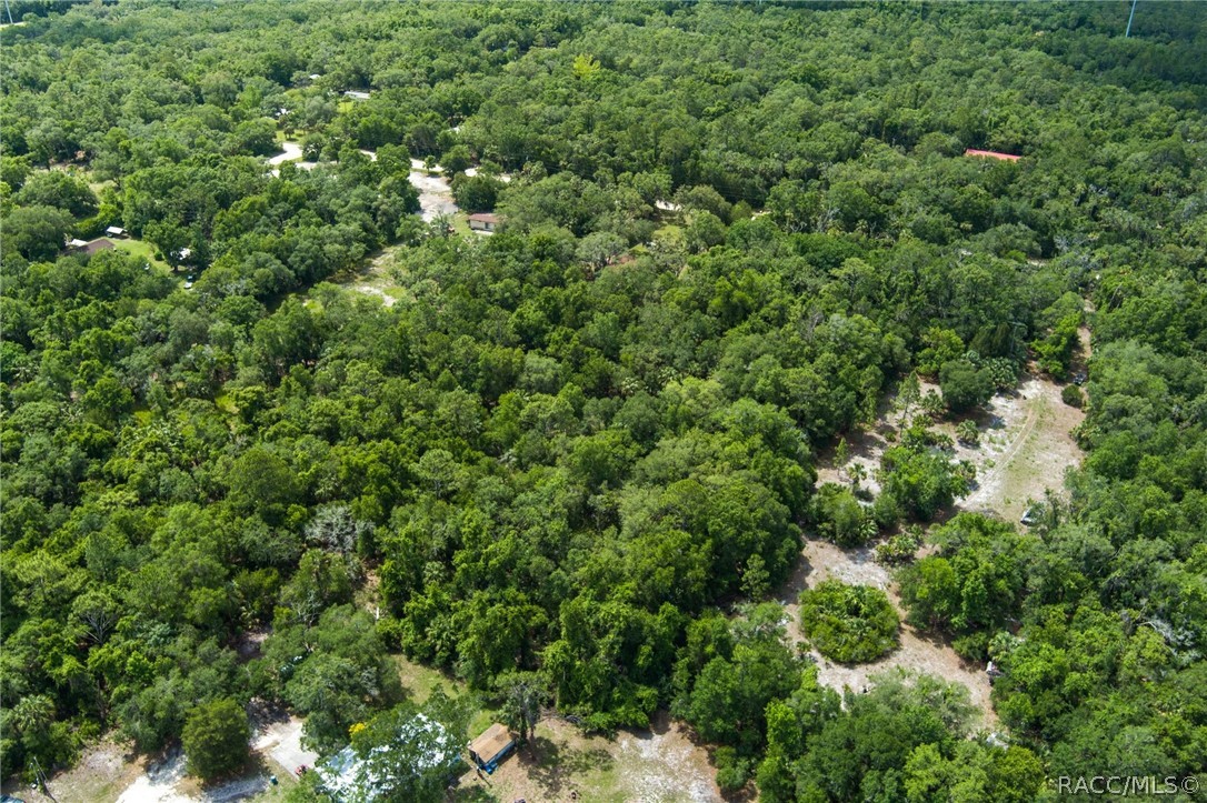 15085 West Rooster Crows Road Inglis, FL 34449 - Photo 8 of 16
