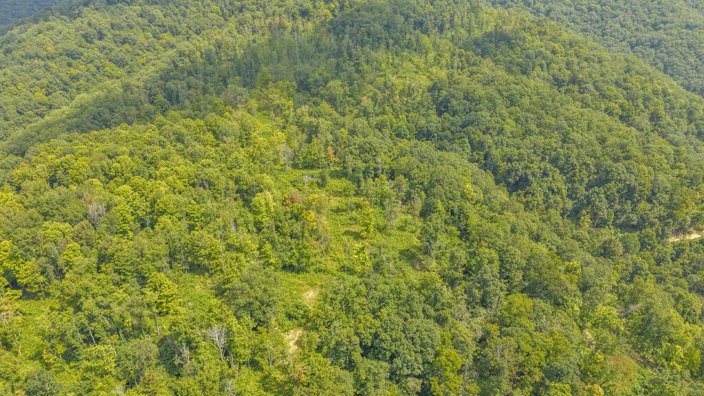 0 Wingfield Mountain Road Sandstone, WV 25985 - Photo 4 of 18 Gallery Image 4