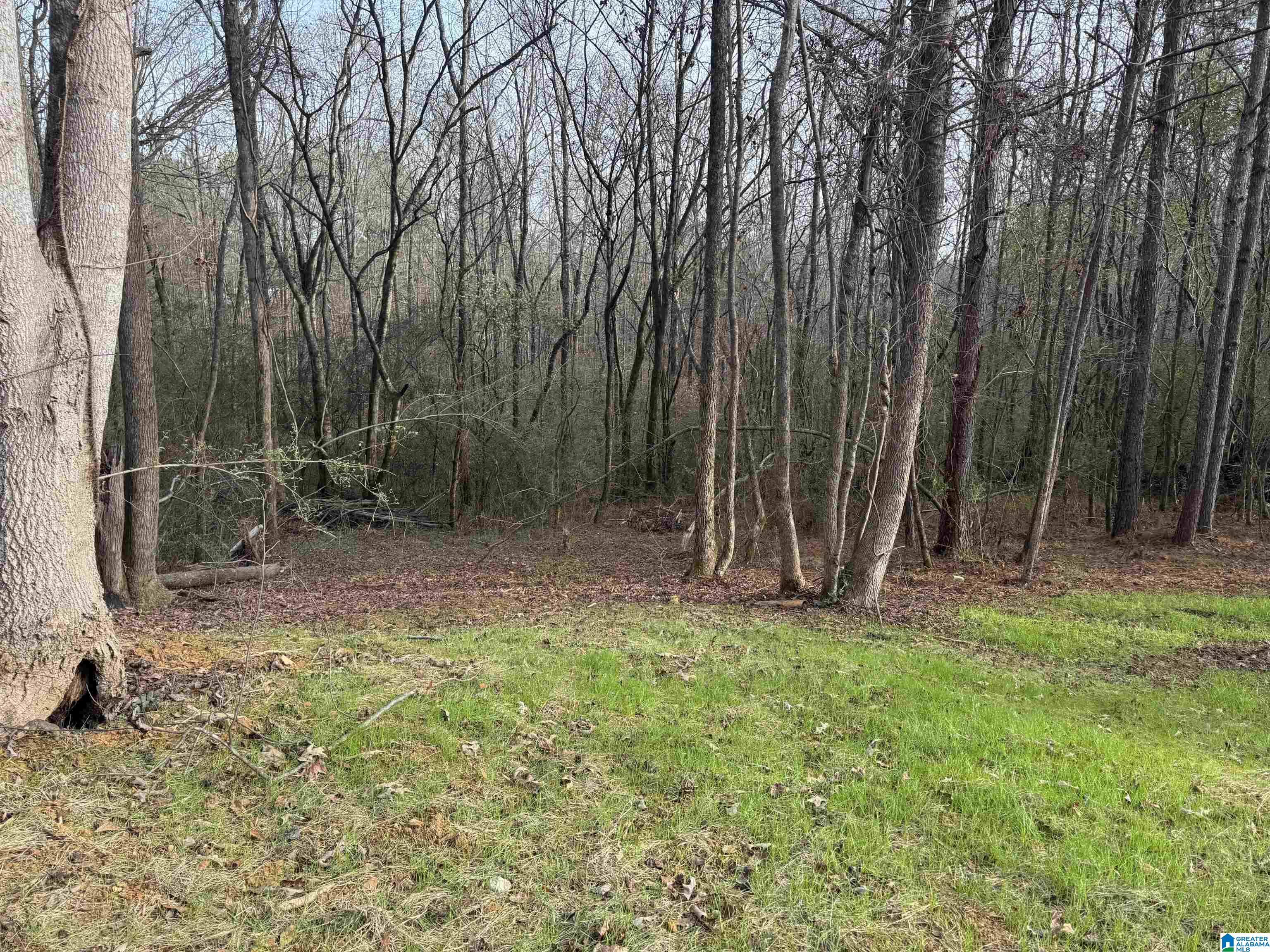 33412 Highway 79 Cleveland, AL 35049 - Photo 35 of 39