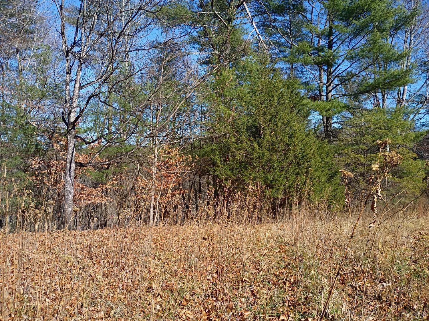 0 Wilderness Creek Road Monroe, VA 24574 - Photo 12 of 14