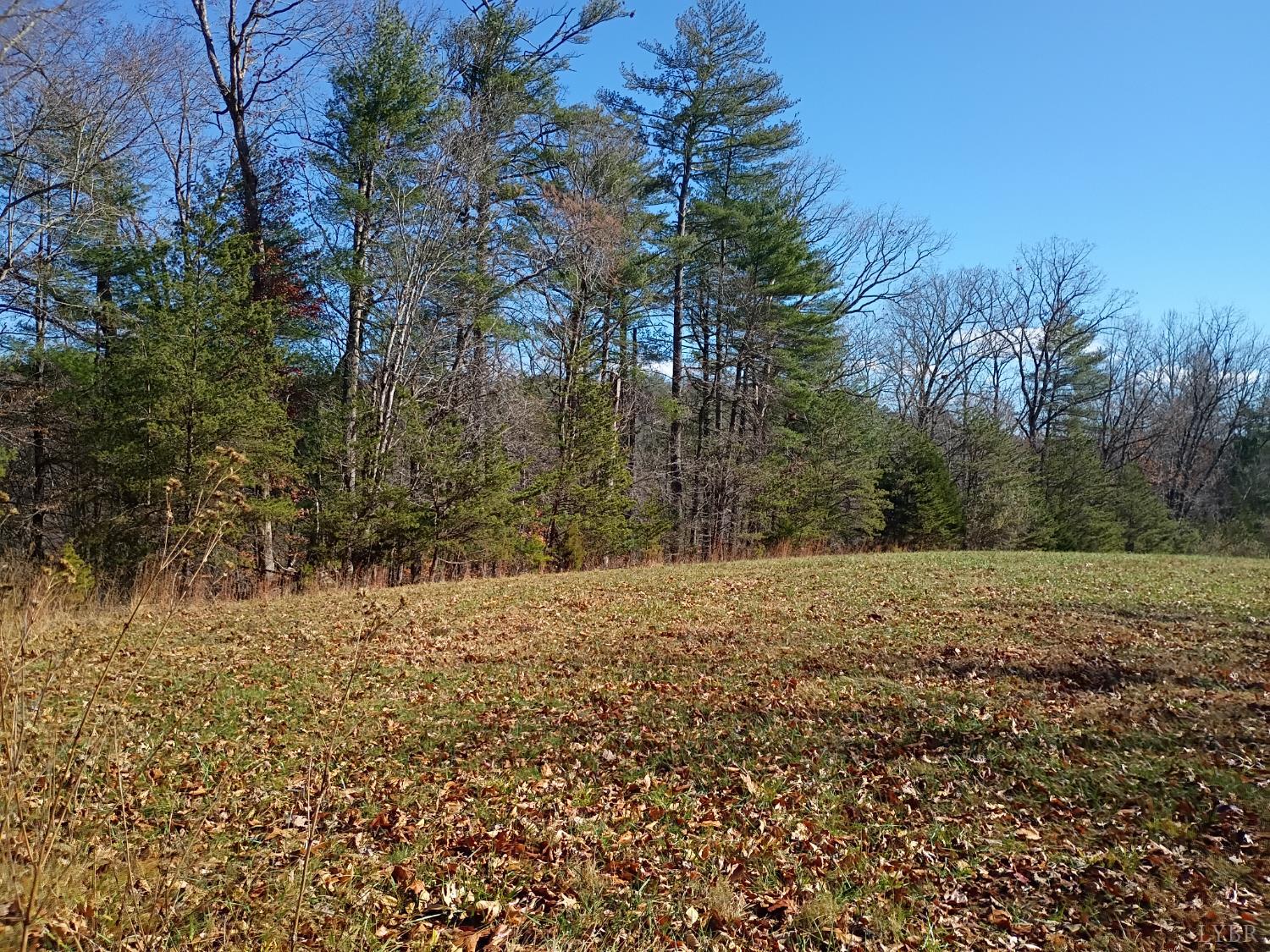 0 Wilderness Creek Road Monroe, VA 24574 - Photo 13 of 14