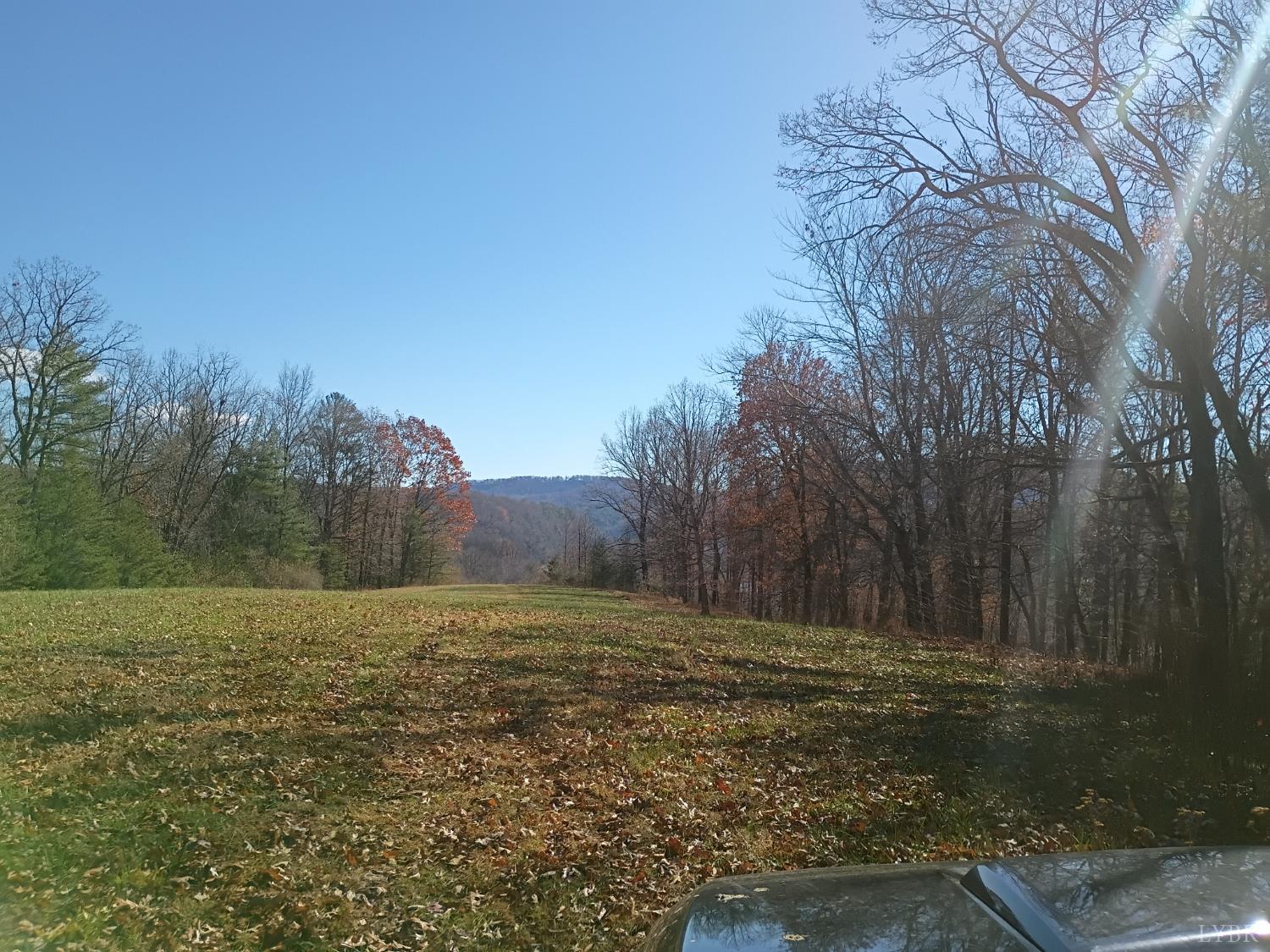 0 Wilderness Creek Road Monroe, VA 24574 - Photo 14 of 14