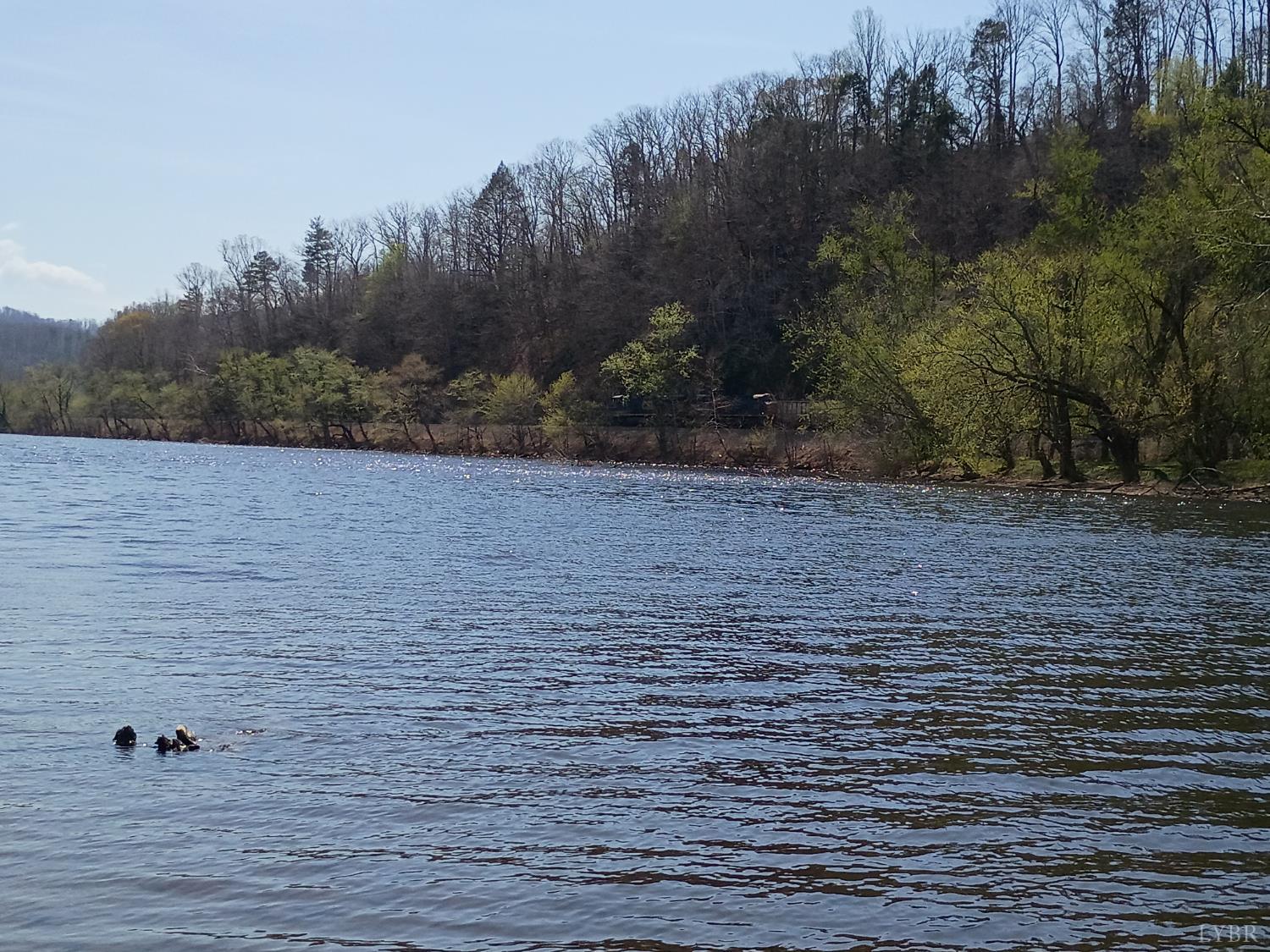 0 Wilderness Creek Road Monroe, VA 24574 - Photo 2 of 14