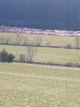 $1,300,000 | 0 Wilderness Creek Road, Monroe, VA 24574