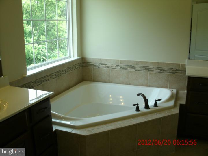 320 Windsor Road Mullica Hill, NJ 08062 - Photo 5 of 7 Master Bathroom
