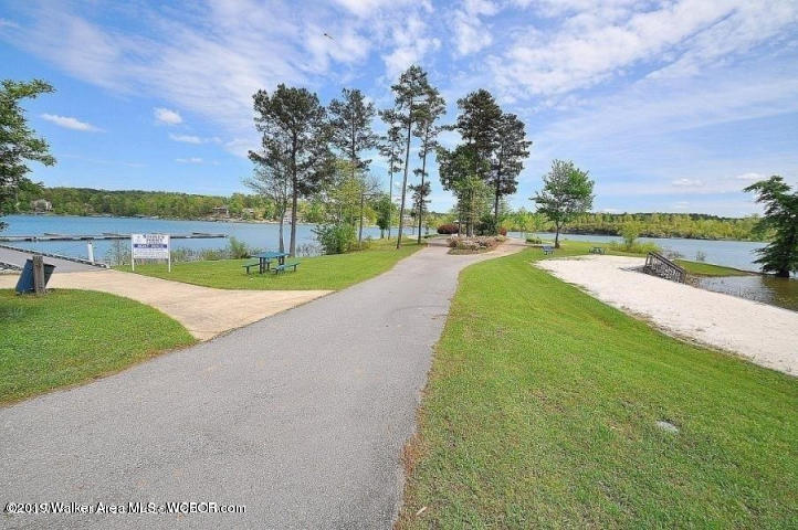 Lot 213 South Stoney Road Double Springs, AL 35553 - Photo 1 of 4 Gallery Image 1
